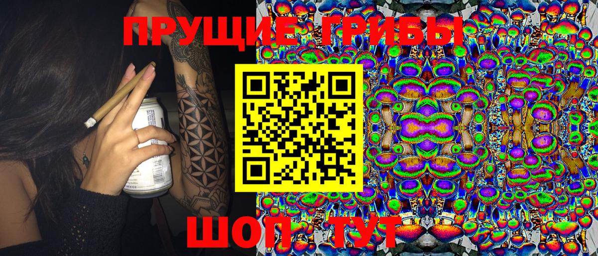 Псилоцибиновые грибы GOLDEN TEACHER Чапаевск