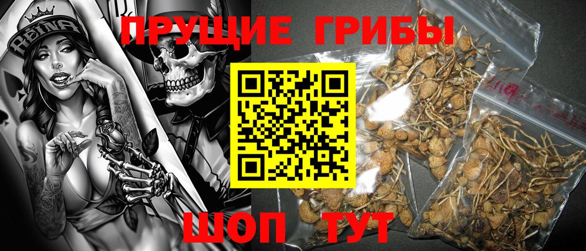 МЕФ кристаллы  Гашиш  МДМА  Вход с VPN  ГАШ  Чапаевск  Кокаин 