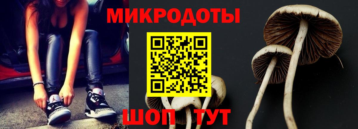 Галлюциногенные грибы прущие грибы  Галлюциногенные грибы мицелий  Чапаевск  Вход с VPN 